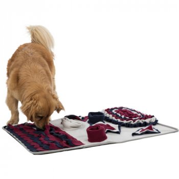 Multi-Feature Sniffing Carpet Strategy Game from Trixie