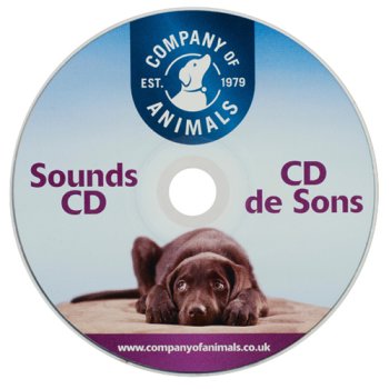 For sound-sensitive dogs