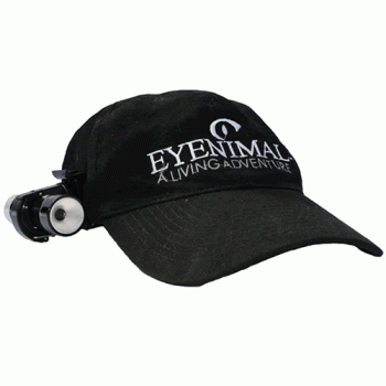 Eyenimal Dog Videocam