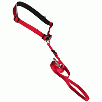 Waist Belt With Lead For Small-Medium Dogs