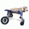 Walkin' Wheels 4-Wheel Full Support Dog Wheelchair Blue