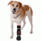 Vetgood Healing Slim Protective Veterinary Dog Boots