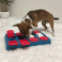 Nina Ottosson Dog Brick Interactive Toy (Plastic)