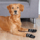 Protect dog paws with Dog Socks