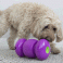 KONG Replay Treat Dispensing Dog Toys