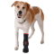 Vetgood Protective Veterinary Dog Boots Soft Bandage
