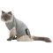 Trixie Protective Body Suit for Cats
