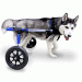 Walkin' Wheels Rear Only Dog Wheelchair Medium