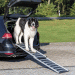 Petwalk Telescopic Aluminium Dog Ramp