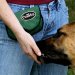 TRETS Training Reward Pouch with magnetic closure